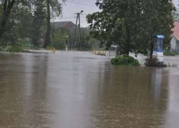 Mielec: Akcją kierowały służby do tego powołane.