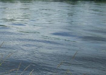 Tarnobrzeg. Stan wód.