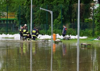 Dzikowiec: Szacują straty