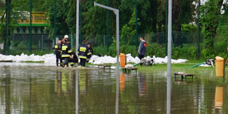 Dzikowiec: Szacują straty