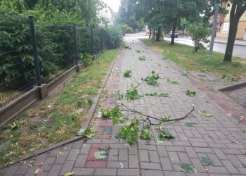 Tarnobrzeg. Usuwanie skutków niedzielnej nawałnicy trwa.