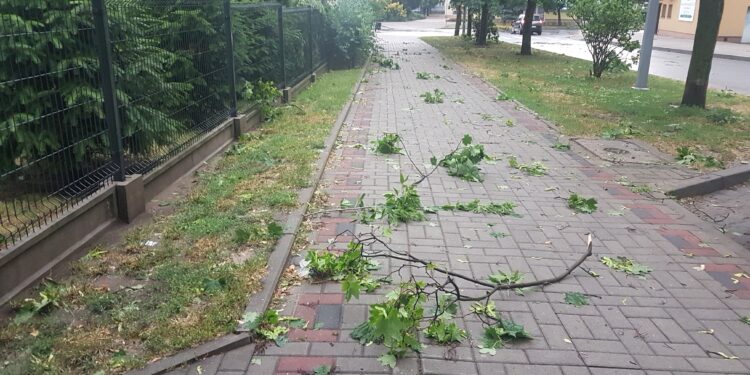 Tarnobrzeg. Usuwanie skutków niedzielnej nawałnicy trwa.