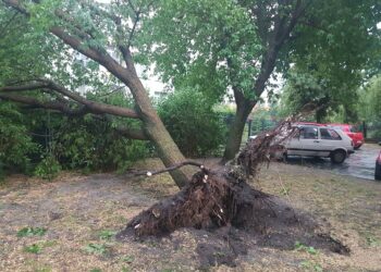 Tarnobrzeg. Strażacy do tej pory pracują.