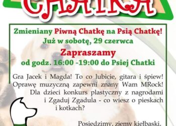 Tarnobrzeg. Psia Chatka nad jeziorem.