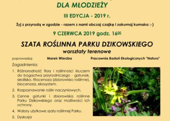 Tarnobrzeg. Szata roślinna parku dzikowskiego.