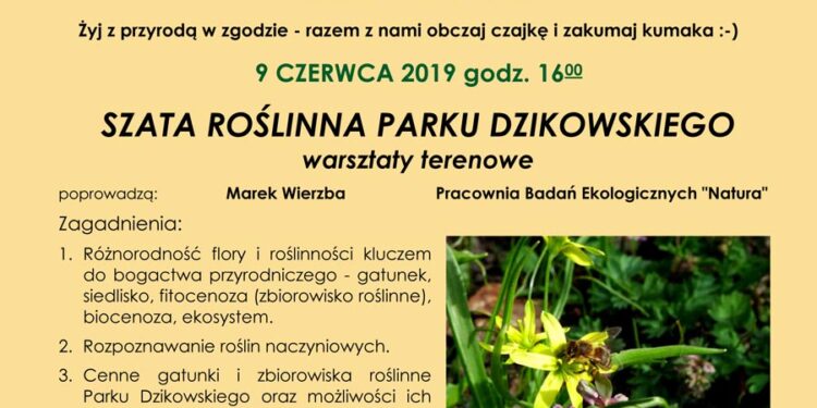 Tarnobrzeg. Szata roślinna parku dzikowskiego.