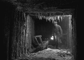 Tarnobrzeg. „Siła pasji”.