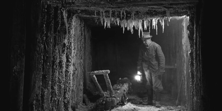 Tarnobrzeg. „Siła pasji”.