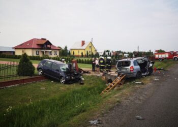 Tarnobrzeg: Trzy osoby ranne w wypadku w Trześni