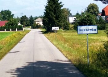 Kolbuszowa: Nie dla Brzezówki.