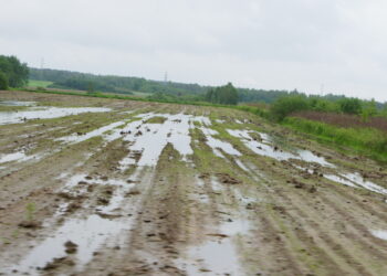 Mielec: Miasto tak, gminy muszą poczekać…