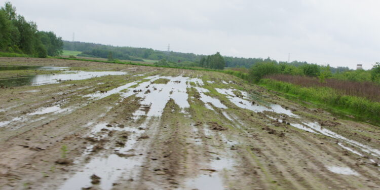 Mielec: Miasto tak, gminy muszą poczekać…