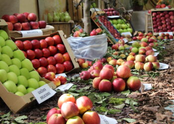 Region: Będą ceny minimalne na owoce