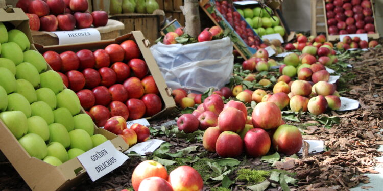 Region: Będą ceny minimalne na owoce