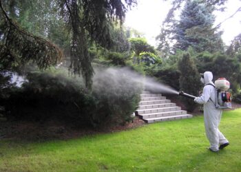 Mielec: Miejsca objęte opryskiem przeciw komarom.