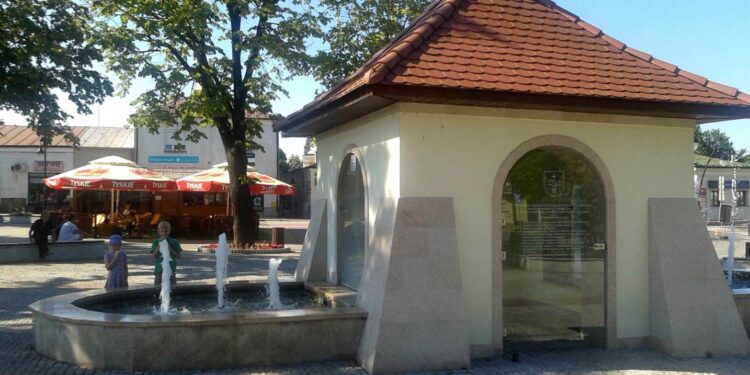 Kolbuszowa: Półnagi biegał wokół studni