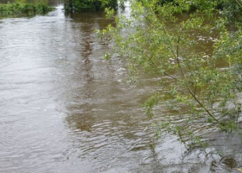 Zaklików: Poziom Sanny ciągle wysoki