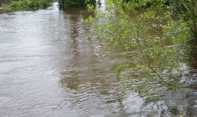 Zaklików: Poziom Sanny ciągle wysoki