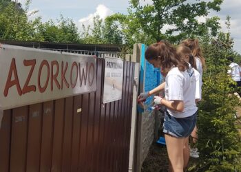 Dębica: Trochę kolorów dla czworonogów.