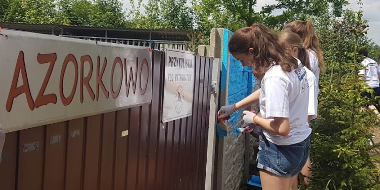 Dębica: Trochę kolorów dla czworonogów.