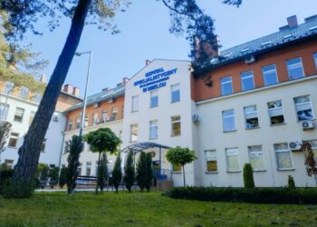 Mielec: Pierwsze analizy i rozmowy.