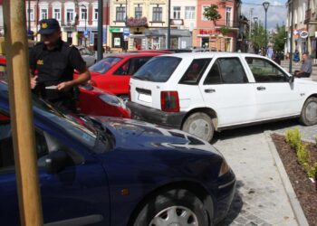 Mielec: Znaleźć miejsce dla wraków.