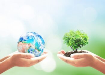 Sandomierz: XXII Międzyszkolna Sesja Ekologiczna