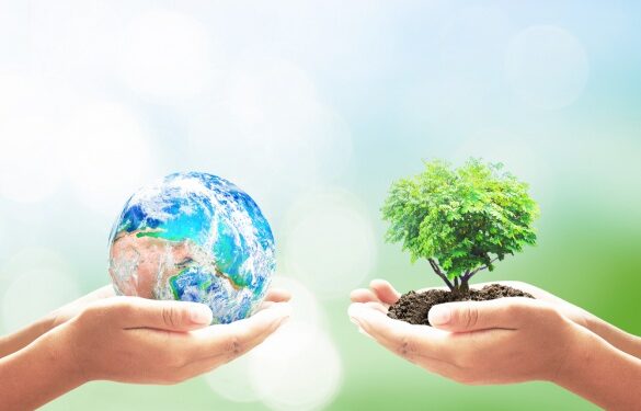 Sandomierz: XXII Międzyszkolna Sesja Ekologiczna