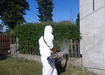 Mielec: Komary atakują gminy!