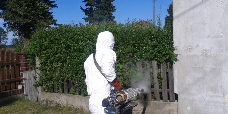 Mielec: Komary atakują gminy!