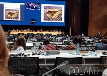 Opatów: Krzemionkowski region prehistorycznego górnictwa krzemienia pasiastego na liście światowego dziedzictwa kulturalnego i naturalnego UNESCO.