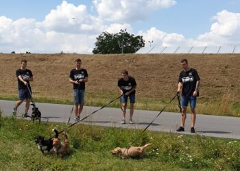 Sandomierz: Kolejny spacer psiaka i Wiślaka.