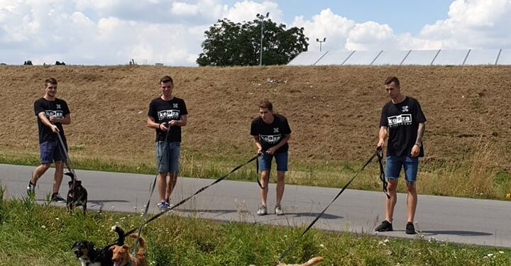 Sandomierz: Kolejny spacer psiaka i Wiślaka.
