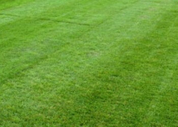 Racławice: Odkryto szczątki ludzkie podczas prac pod obwodnicę