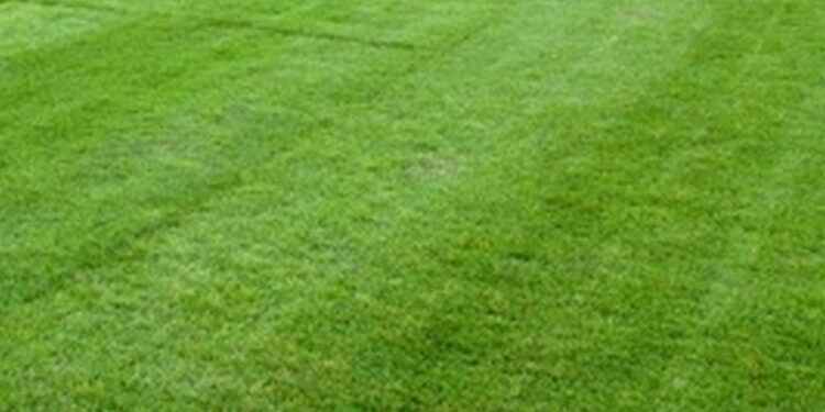 Racławice: Odkryto szczątki ludzkie podczas prac pod obwodnicę