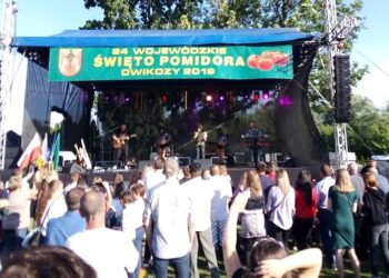 Dwikozy: Wojewódzkie Święto Pomidora