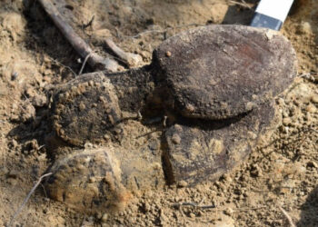 Racławice: Odkryto szczątki ludzkie podczas prac pod obwodnicę