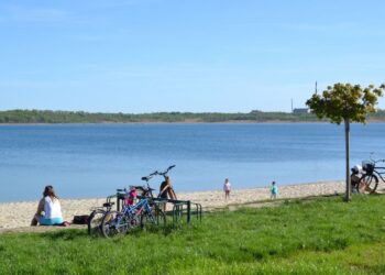 Tarnobrzeg: Zlot miłośników Mazdy mx5