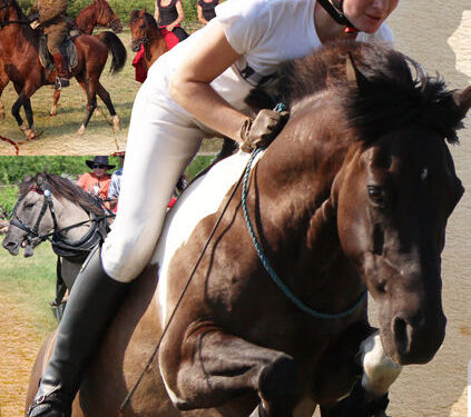 Obojna: W niedzielę piknik rodzinny 'Konie nasza pasja’