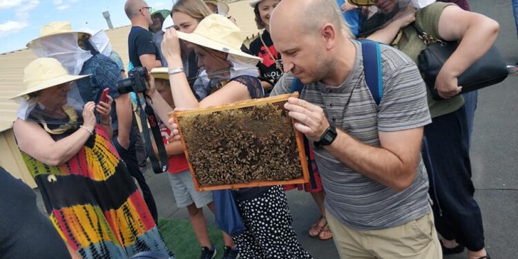 Mielec: Bogactwo smakowe mieleckiego miodu!