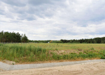 Stalowa Wola: Rekultywacja stawów zakończona