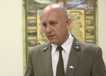 Region: Susza zagraża niektórym gatunkom drzew