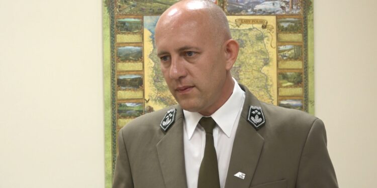 Region: Susza zagraża niektórym gatunkom drzew