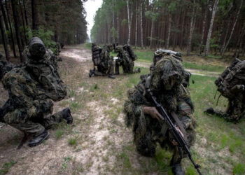 Nisko: Podkarpacie: Terytorialsi zaliczyli DRAGONA