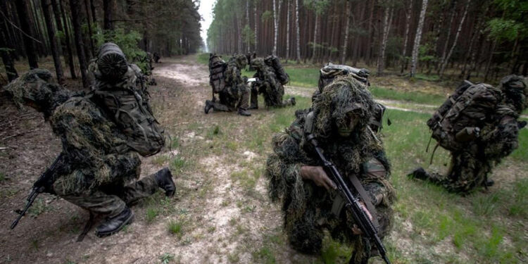 Nisko: Podkarpacie: Terytorialsi zaliczyli DRAGONA