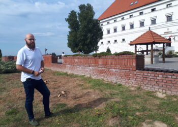 Sandomierz: Prace poszukiwawcze na wzgórzu zamkowym.