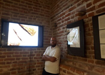 Sandomierz: Multimedialny element ekspozycji krzemienia pasiastego w biżuterii i małych formach złotniczych.