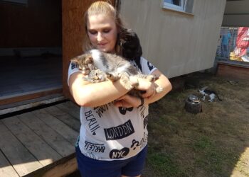 Tarnobrzeg. Koci problem.