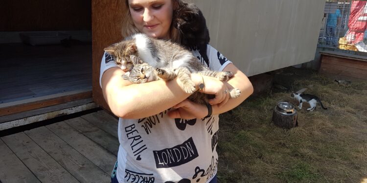 Tarnobrzeg. Koci problem.