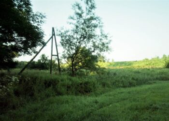 Mielec: Wykosić rzochowskie błonia